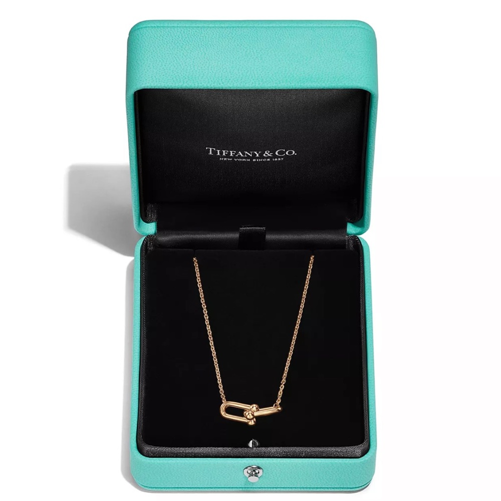 Tiffany & Co. HardWear Small Double Link Pendant Necklace in Gold